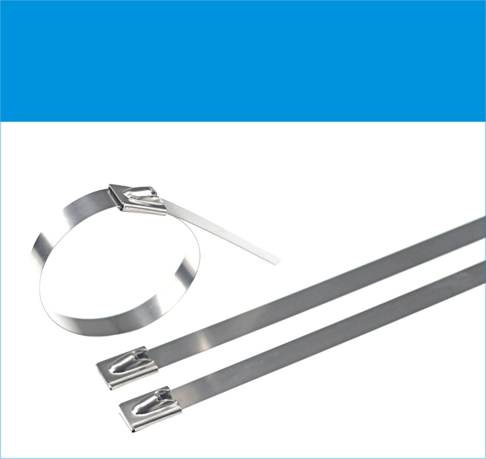 Stainless Steel Cable Ties