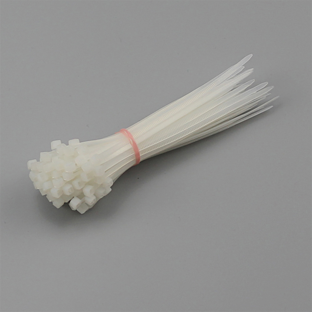 PA 66 Nylon Cable Ties