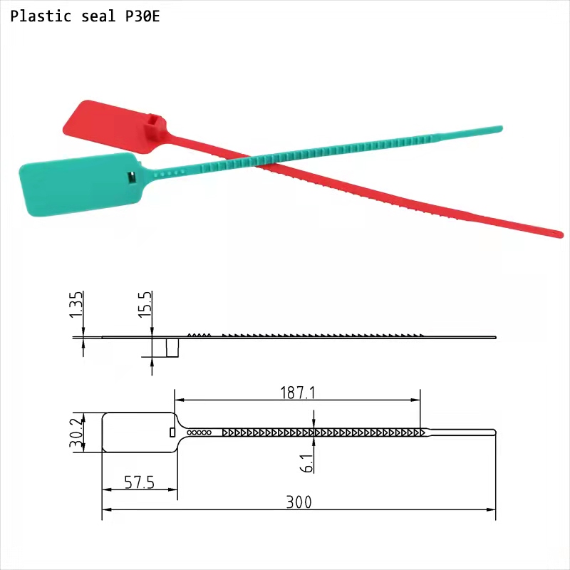 Plastic Security Seals P30E